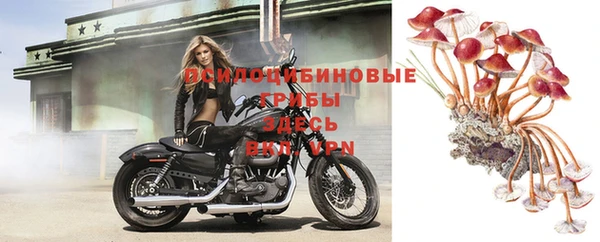 прущие грибы Алексин